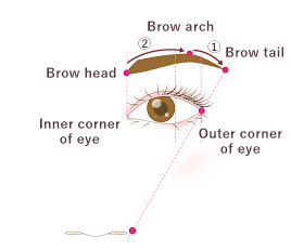 What are beautifully balanced eyebrows?