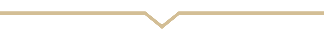 aderans ladies pinpoint wig