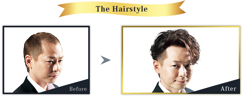 Hair Evolution LEGEND STYLE03