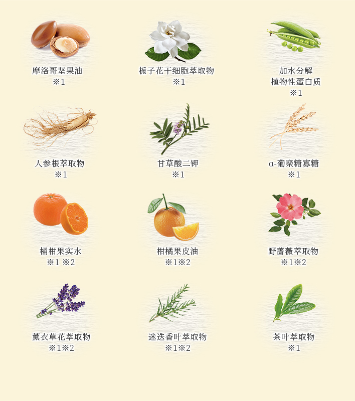 温和呵护你的秀发的12种植物成分
