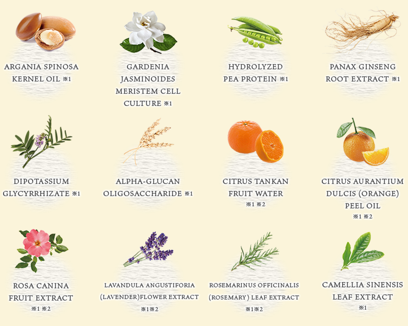 12 Botanical ingredients which hydrate hair gently