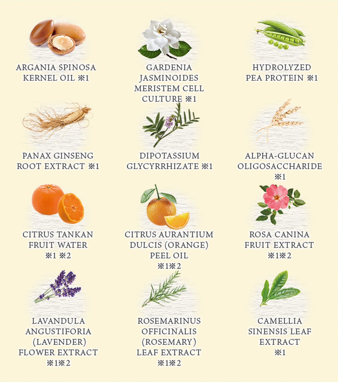 12 Botanical ingredients which hydrate hair gently