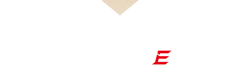 Features of HairPlus SPEED E Premium