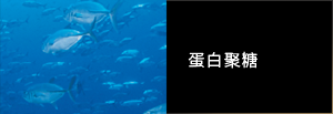 蛋白聚糖