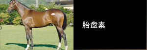 胎盘素