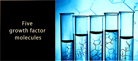 Five growth factor molecules
