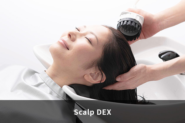 Scalp DEX