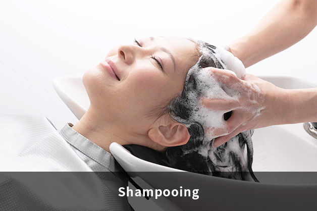 Shampooing